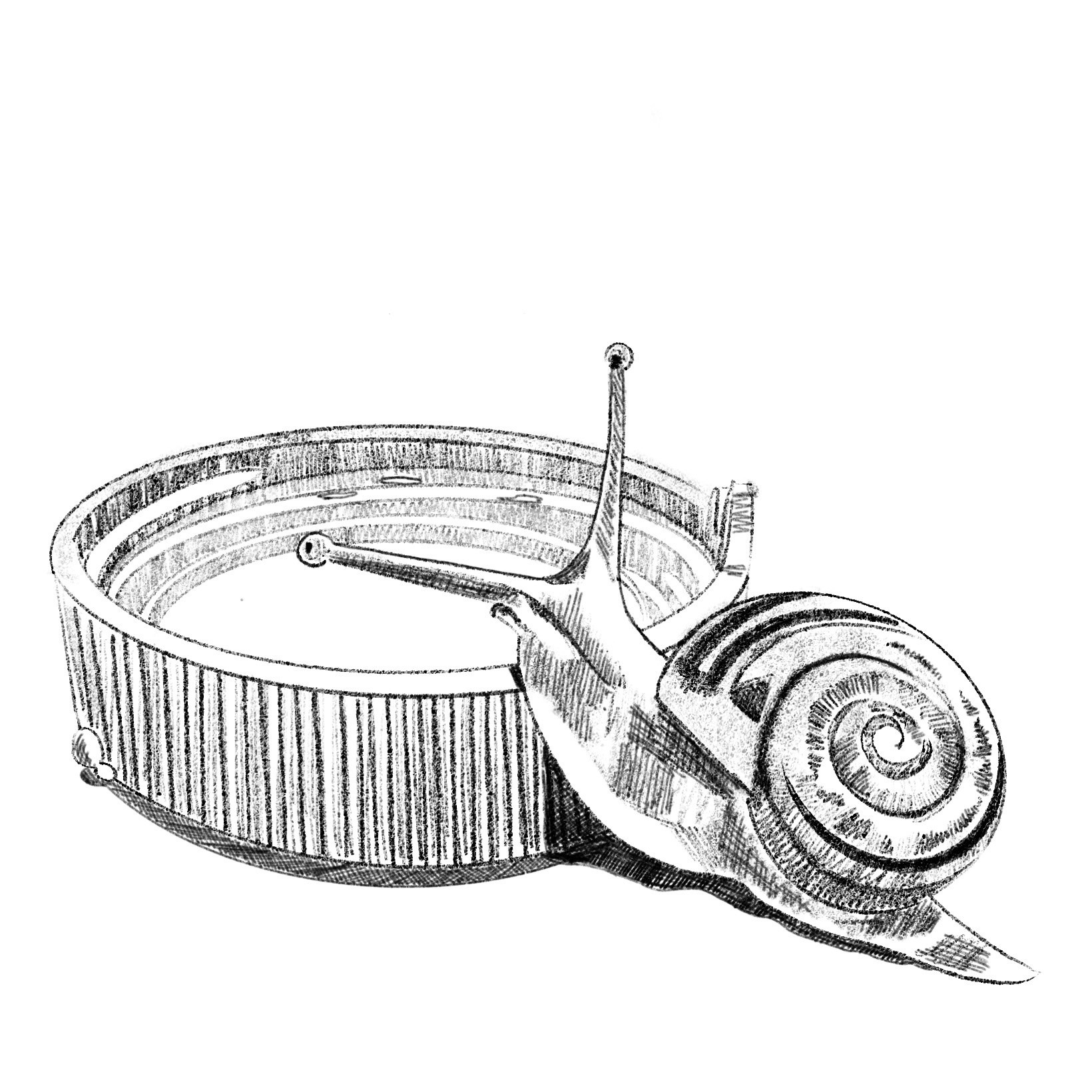 Bleistiftzeichnung einer Schnecke, die über einen Decker einer Plastikflasche kriecht.